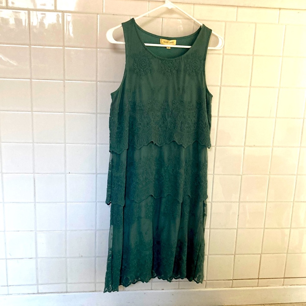 Black swan, green mesh lace mid length lined dress. Sleeveless. Embroidered